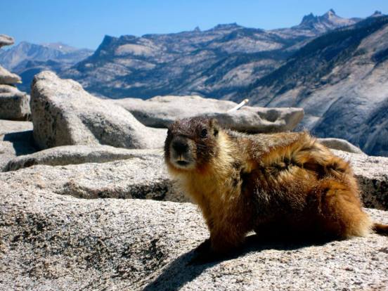 971682_10200685536634934_1371383464_n