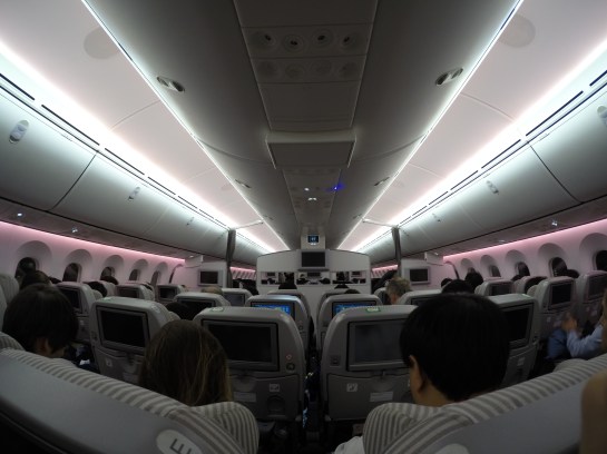 DCIM100GOPROG0140157.