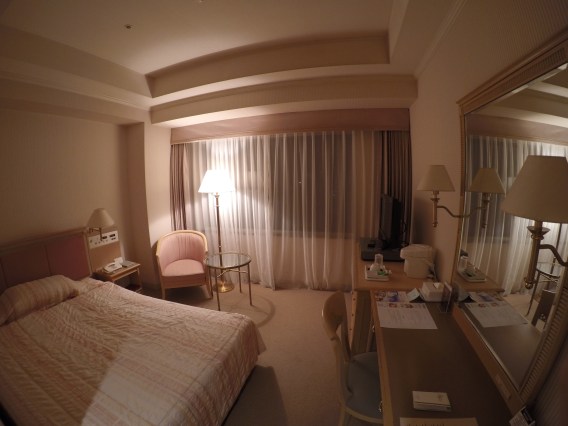 DCIM100GOPROG0190165.