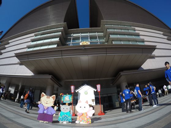 DCIM100GOPROG0240171.