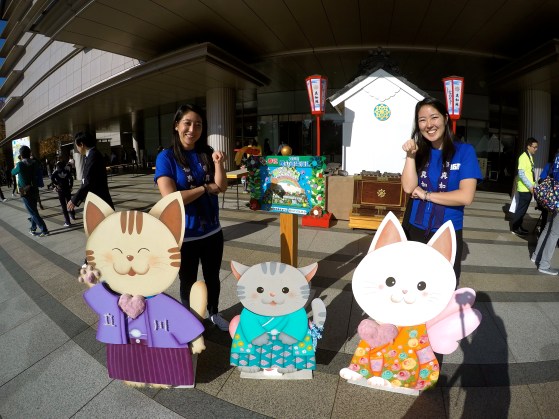 DCIM100GOPROG0250172.