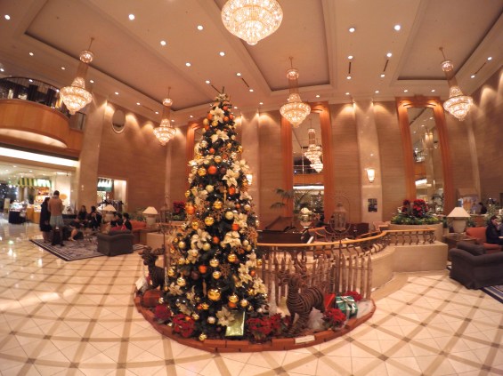 DCIM100GOPROG0660263.