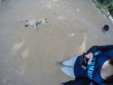 DCIM101GOPROG3041306.