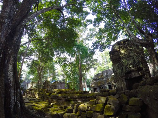 DCIM101GOPROG3131331.