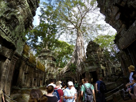 DCIM101GOPROG3491551.