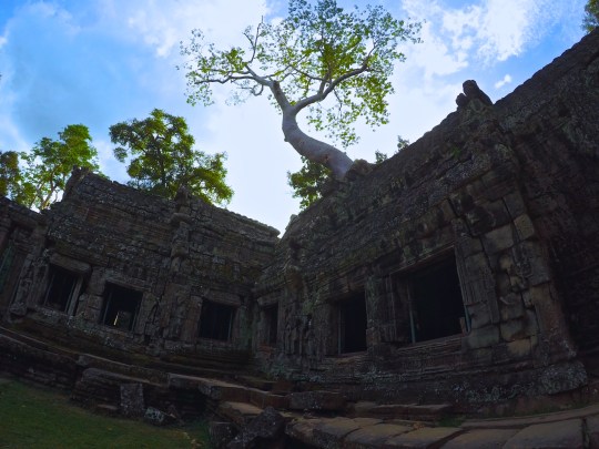 DCIM101GOPROG3711706.