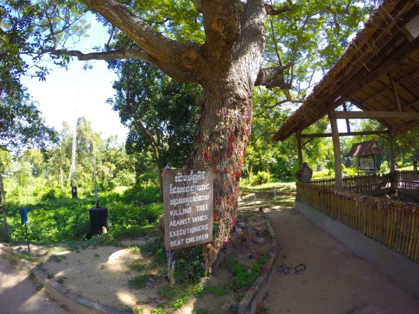 DCIM102GOPROG5492703.