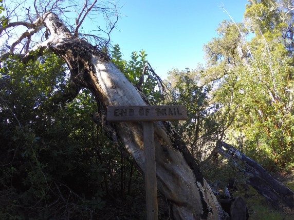 DCIM104GOPROG8614645.