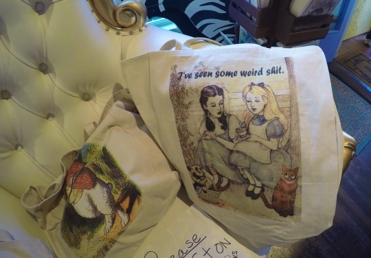 DCIM104GOPROG9084789.