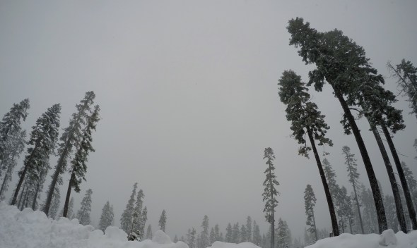 DCIM104GOPROG7544074.