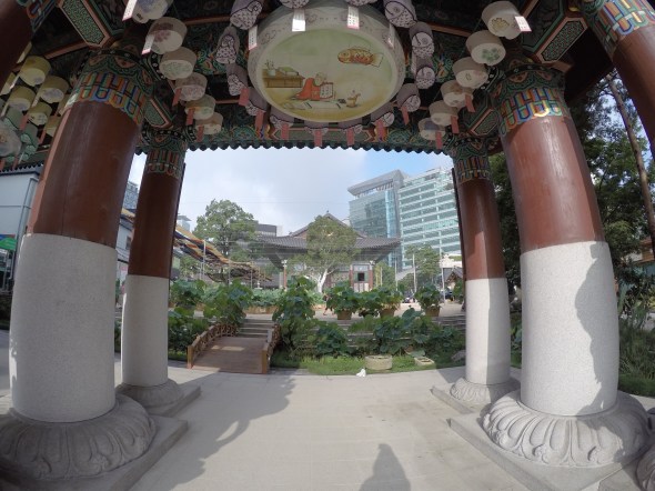 DCIM100GOPROG0195016.