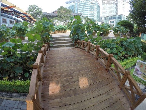 DCIM100GOPROG0235034.