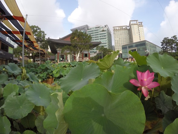 DCIM100GOPROG0285039.