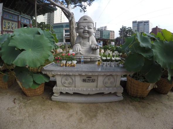 DCIM100GOPROG0335044.