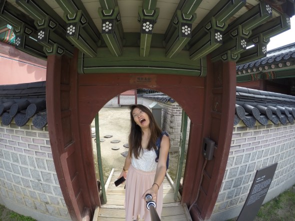 DCIM100GOPROG0445154.