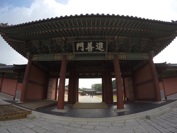 DCIM100GOPROG0515231.