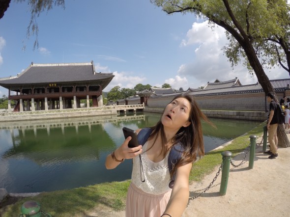 DCIM100GOPROG0865590.