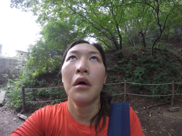 DCIM101GOPROG1136038.