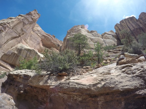 DCIM105GOPROG1312058.