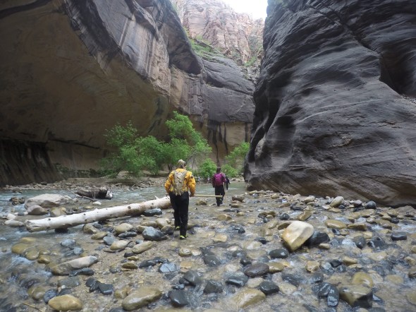 DCIM105GOPROG1742237.