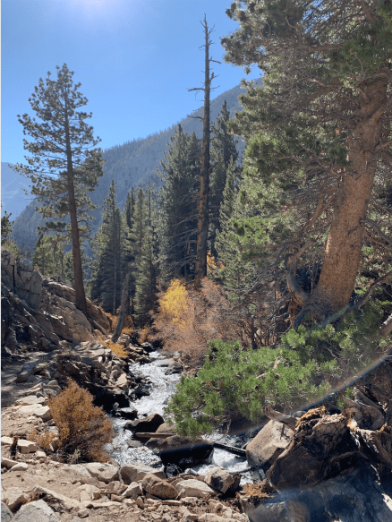 Screen Shot 2020-10-28 at 1.01.13 PM