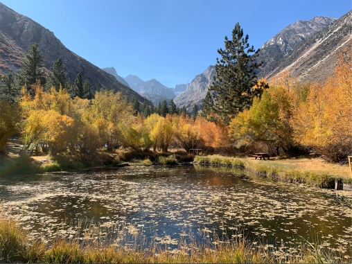 Screen Shot 2020-10-28 at 1.01.23 PM