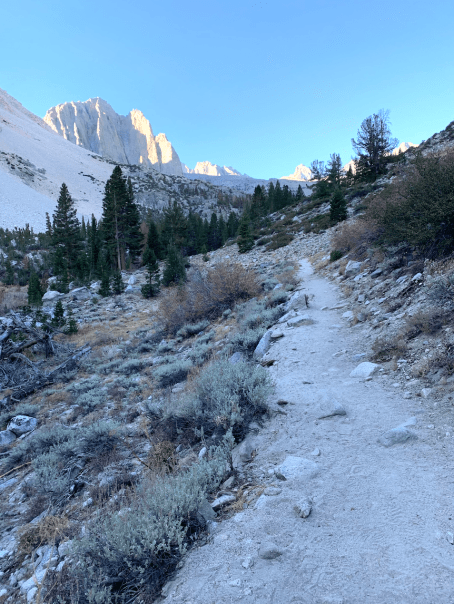 Screen Shot 2020-10-28 at 1.04.51 PM