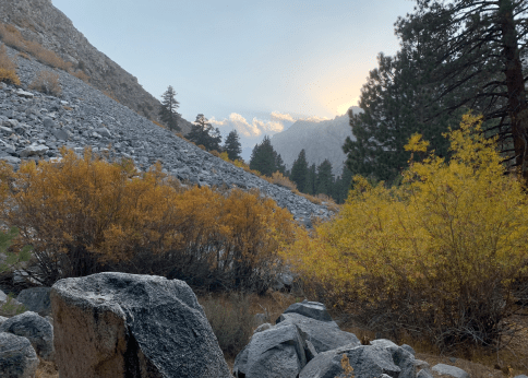 Screen Shot 2020-10-28 at 1.27.01 PM