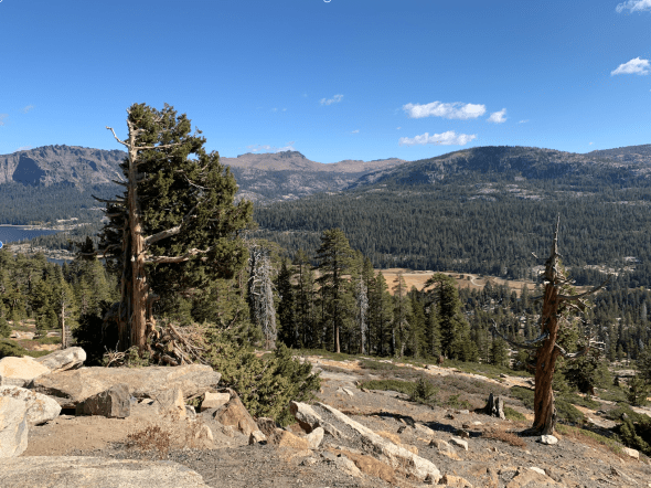 Screen Shot 2020-10-28 at 12.52.20 PM