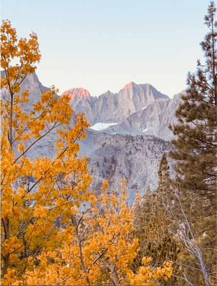 Screen Shot 2020-10-28 at 12.58.13 PM