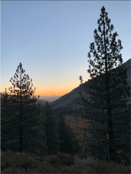 Screen Shot 2020-10-28 at 12.58.23 PM